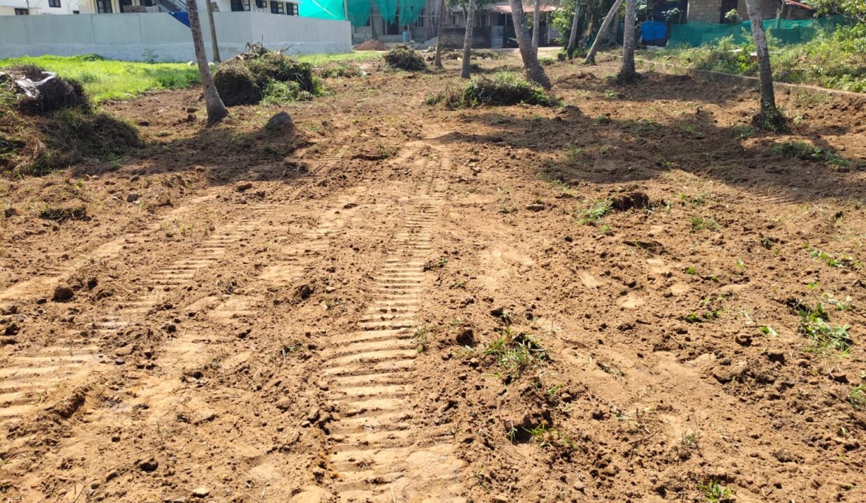 1bcd524a-2751-44ba-b21c-33ffa36a39b5