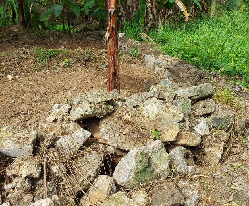 5140b269-1e48-46a4-8b29-99045939e1aa