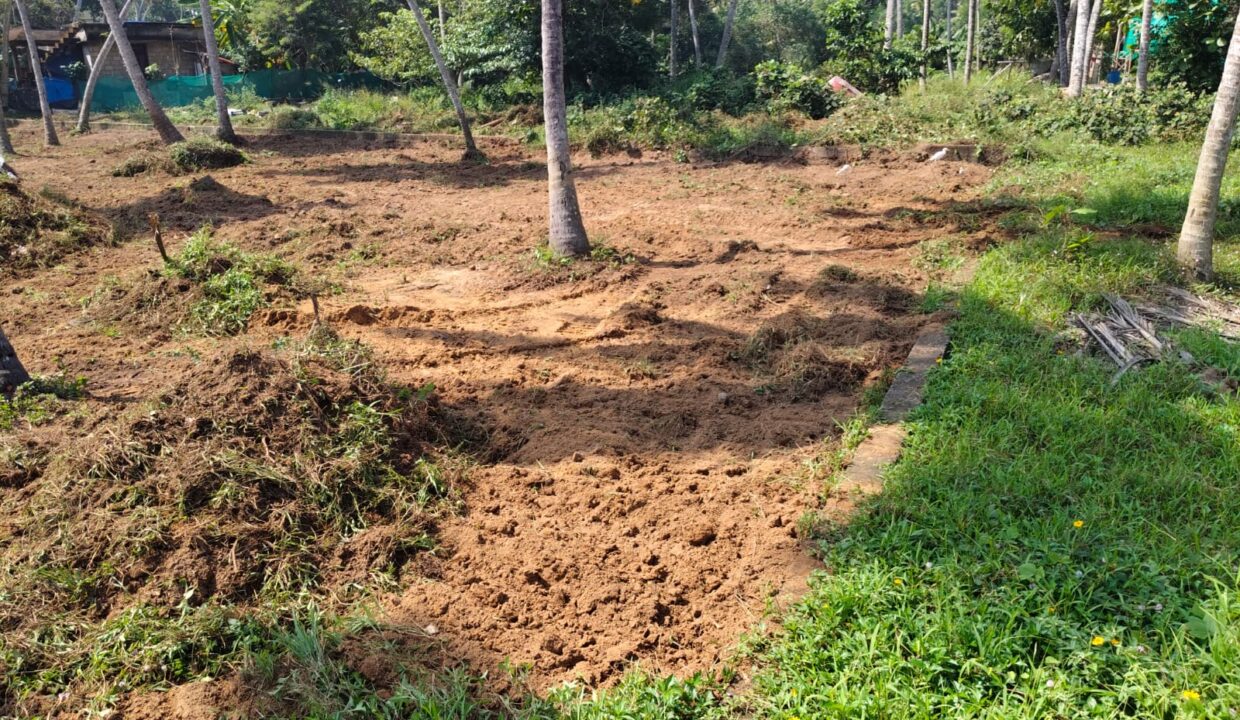 56c70c59-dd52-4c78-ab07-d5fe602c7d6f