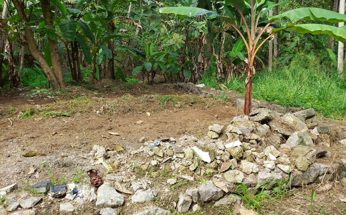 69d20a15-42e2-453d-9b3a-700d4783d2ed