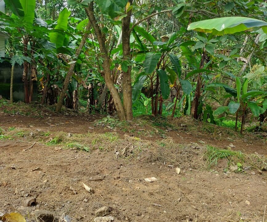 e161f317-a960-4bc7-9271-b50b5d26eb43