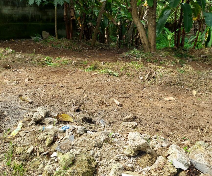 e1a995b1-4c32-4f3c-b6a4-a3af4ed269a7